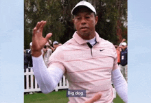 tiger woods is wearing a pink striped shirt and a white hat