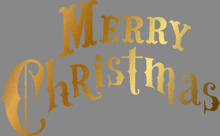 merry christmas is written in gold letters on a grey background