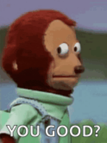 a stuffed monkey is standing in front of a lake and says `` you good '' .