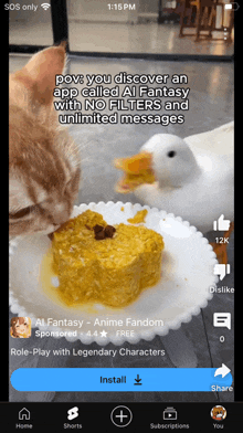 a phone screen shows a cat and a duck eating food from a plate