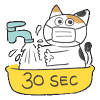 a cat wearing a mask is washing its hands in a yellow bowl with the words 30 sec on it