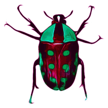 a drawing of a colorful bug with green spots