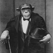 a chimpanzee is wearing a tuxedo and holding a top hat