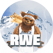 a brown teddy bear wearing a jersey that says rwe