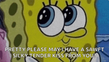 spongebob says pretty please may i have a sawt silky tender kiss from you