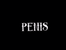 a black background with the word penis in white letters .