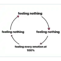 a diagram showing a cycle of feeling nothing , feeling nothing , feeling every emotion at 100 % .