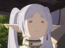 a cartoon character with white hair and elf ears