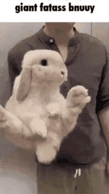 a man is holding a giant bunny rabbit in his arms .