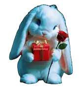 a white rabbit is holding a red gift box and a red rose with the name anita cruz on the bottom