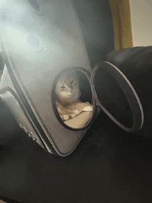 a cat is laying inside of a suitcase with its door open