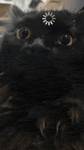 a close up of a cat 's face with a white circle on its forehead