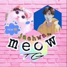 a pink brick wall with a picture of a cat and a picture of a boy in a yellow hoodie