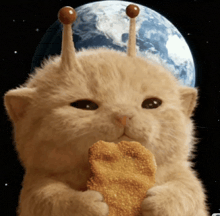 a cat with antennas on its head holding a chicken nugget in front of the earth