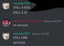 a screenshot of a discord conversation between a cat and a dog .