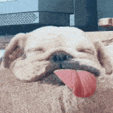 a dog with its tongue hanging out is sleeping