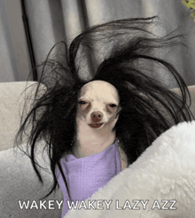 a picture of a dog with a wig on and the words wakey wakey lazy azz
