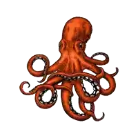 a drawing of an octopus on a white background