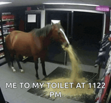 a horse standing in a room with the words " me to my toilet at 1122 pm " on the bottom