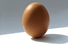 a brown egg has a date stamp on the side of it that reads 2-8-2011