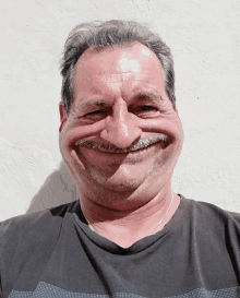 a man with a fake nose and mustache is smiling for the camera