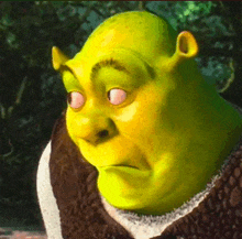 shrek from the movie shrek is looking at something