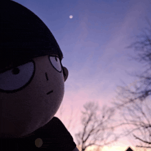 a stuffed animal is looking up at the sky