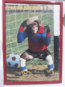 a framed picture of a chimpanzee playing soccer with the words " es que me dejais solo " on the bottom