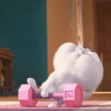 a white cat is lifting a pink dumbbell on a mat .