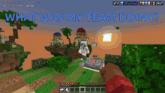 a screenshot of a minecraft game with the words what was my team doing