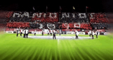 a blurred image of a soccer field with a crowd of people standing in the stands .