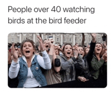 people over 40 watching birds at the bird feeder