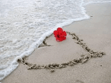 a heart is drawn in the sand on a beach next to a red flower .