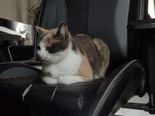 a calico cat laying on a black chair looking at the camera