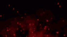 a bunch of red lights are flying in the dark on a black background .