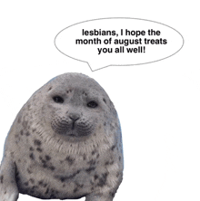a seal with a speech bubble that says " lesbians i hope the month of august treats you all well "