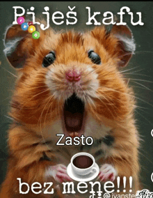 a hamster is holding a cup of coffee and says pijes kavu