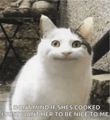 a white cat with a caption that says i dont mind if shes cooked
