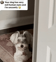 a dog with very evil human eyes is looking out of a doorway