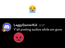 a screenshot of a conversation between laggy gamerkid and a cat