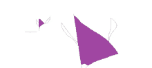 a drawing of a purple triangle with the words " no wings on them "