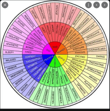 a wheel of emotions with a red circle in the middle that says mad