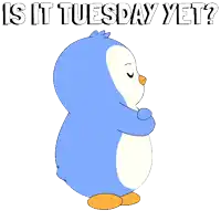 a blue and white penguin is standing with its arms crossed and the words " is it tuesday yet " above it