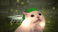 a white cat wearing a green hat is looking at the camera .