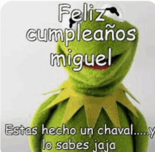 kermit the frog is smiling and says feliz cumpleanos miguel estas hecho un chaval lo sabes jaja .