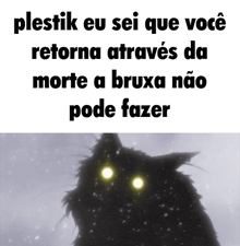 a picture of a black cat with glowing eyes and the words " plestik eu sei que você " below