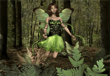 a fairy with green wings and a green dress