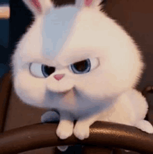 a white rabbit with blue eyes is sitting on a steering wheel and looking at the camera .