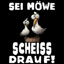 two seagulls standing on a wooden block with the words sei mowe scheiss drauf written below them