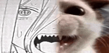 a close up of a cat 's face next to a black and white drawing of a person .